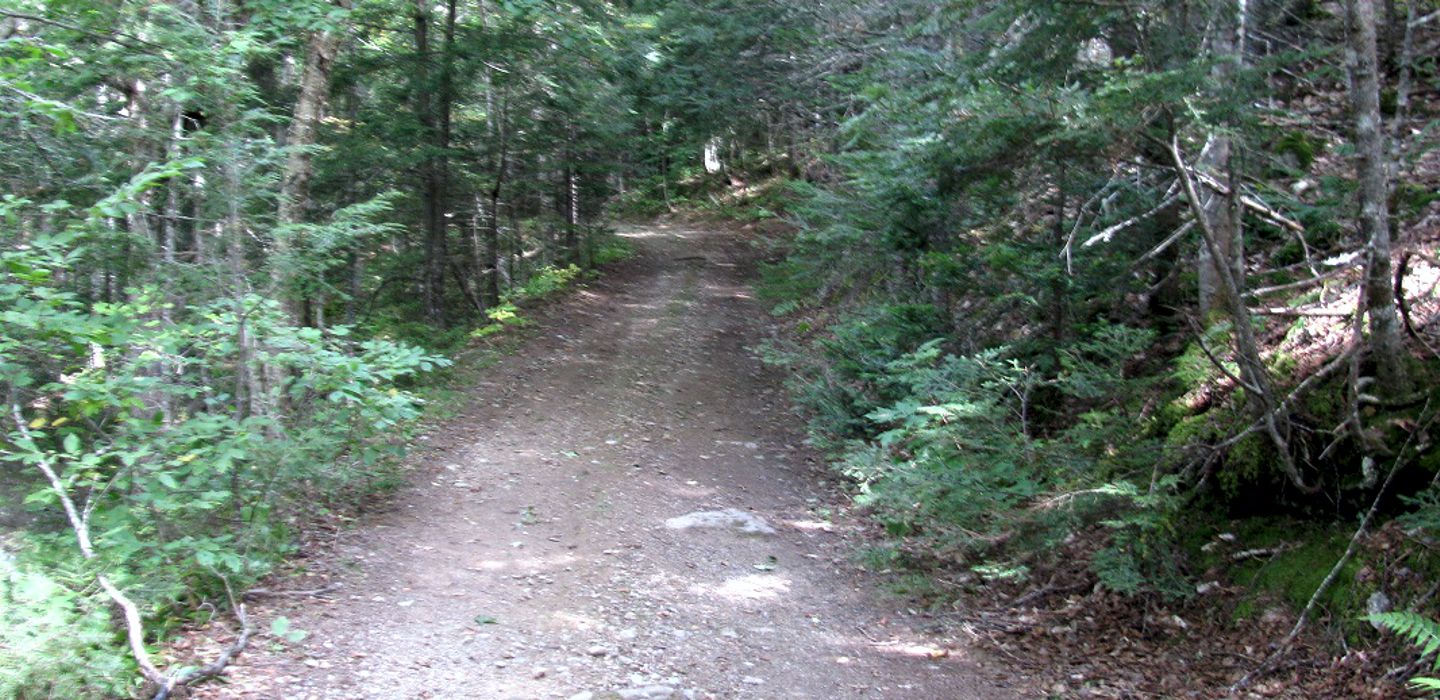 greenvale trail.jpg